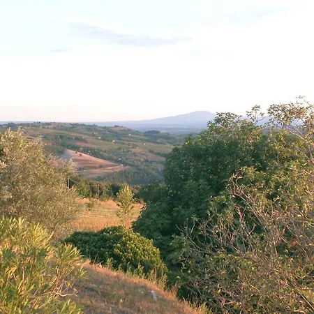 Holiday Podere Oglieto Agroturismo Corbara (Umbria)