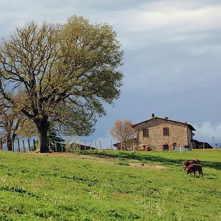 Holiday Podere Oglieto Agroturismo